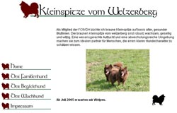 Kleinspitze vom Welzerberg